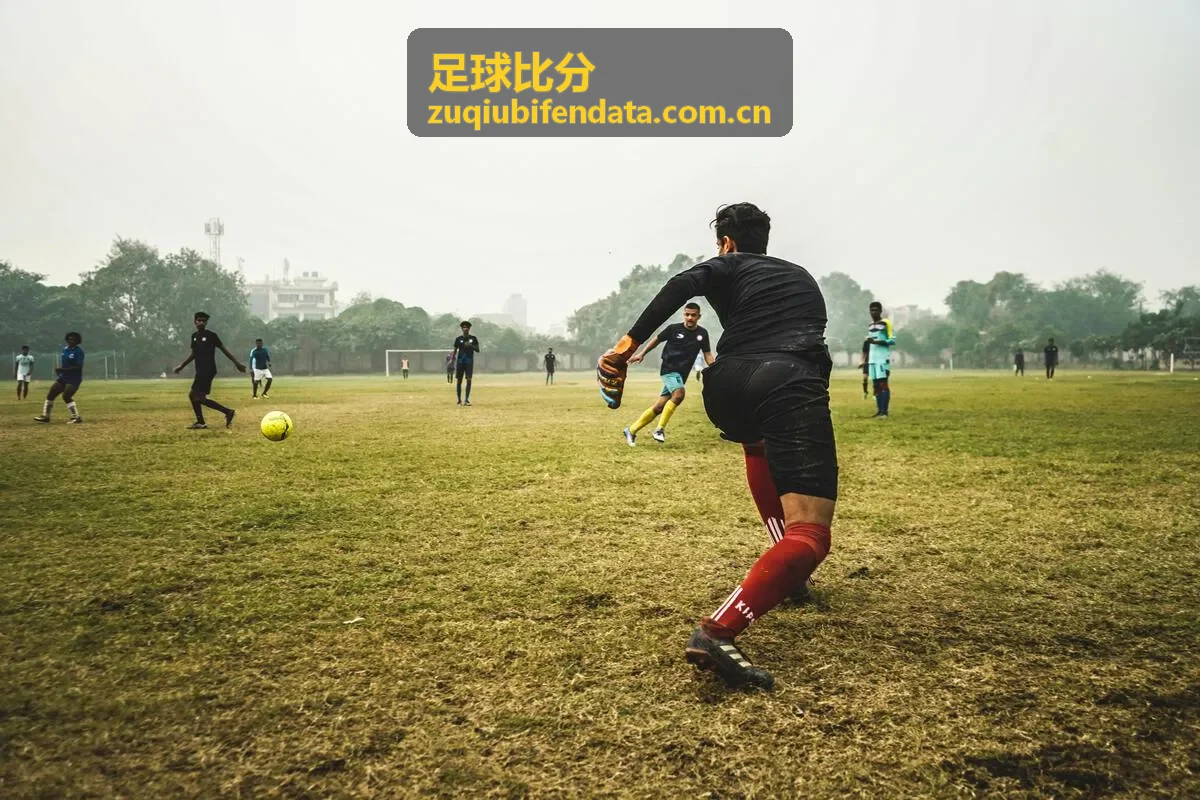 足球比分实时数据直播